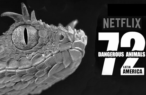 72 DANGEROUS ANIMALS: LATIN AMERICA <br>(NETFLIX)