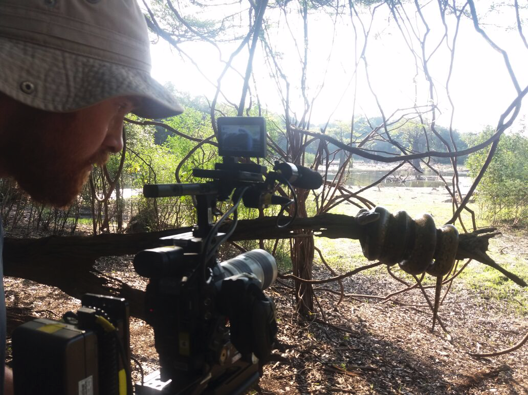 A camera operator shoots an Anaconda during filming of Discovery's The Wheel in the Amazon Rainforest (produced locally by Brazil Production Services).