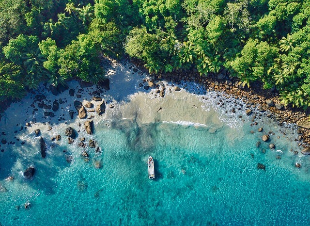 Paradise beach location in Brazil near Ubatuba, São Paulo state.
