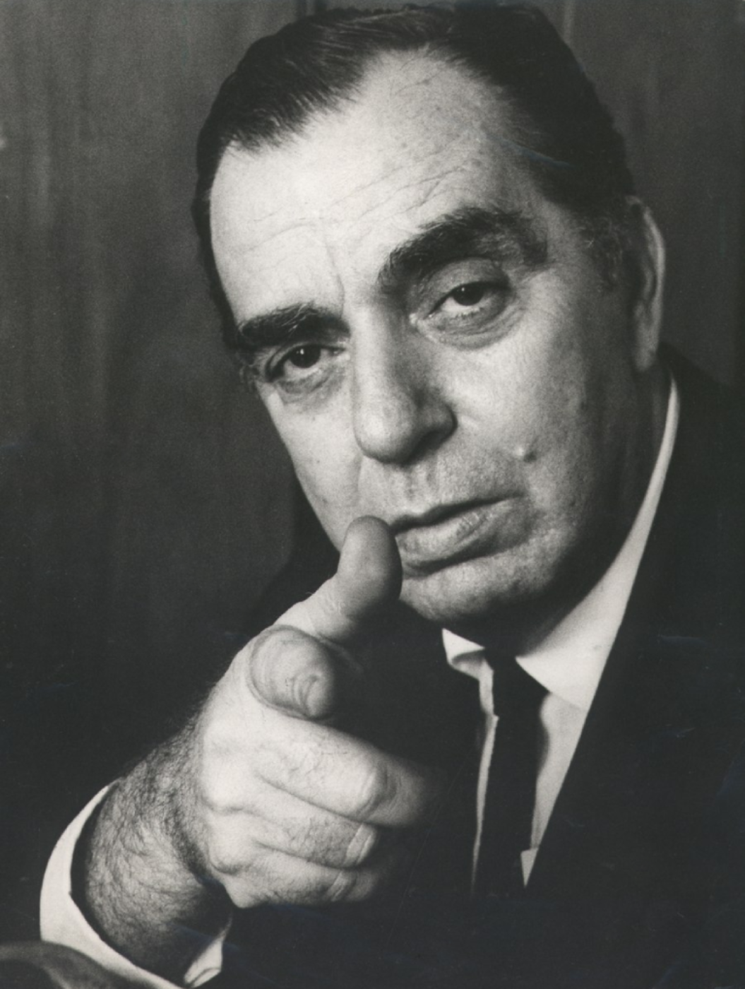 A Brazilian macaw bird displaying the colors of the Brazilian flag: green, yellow, blue and white.