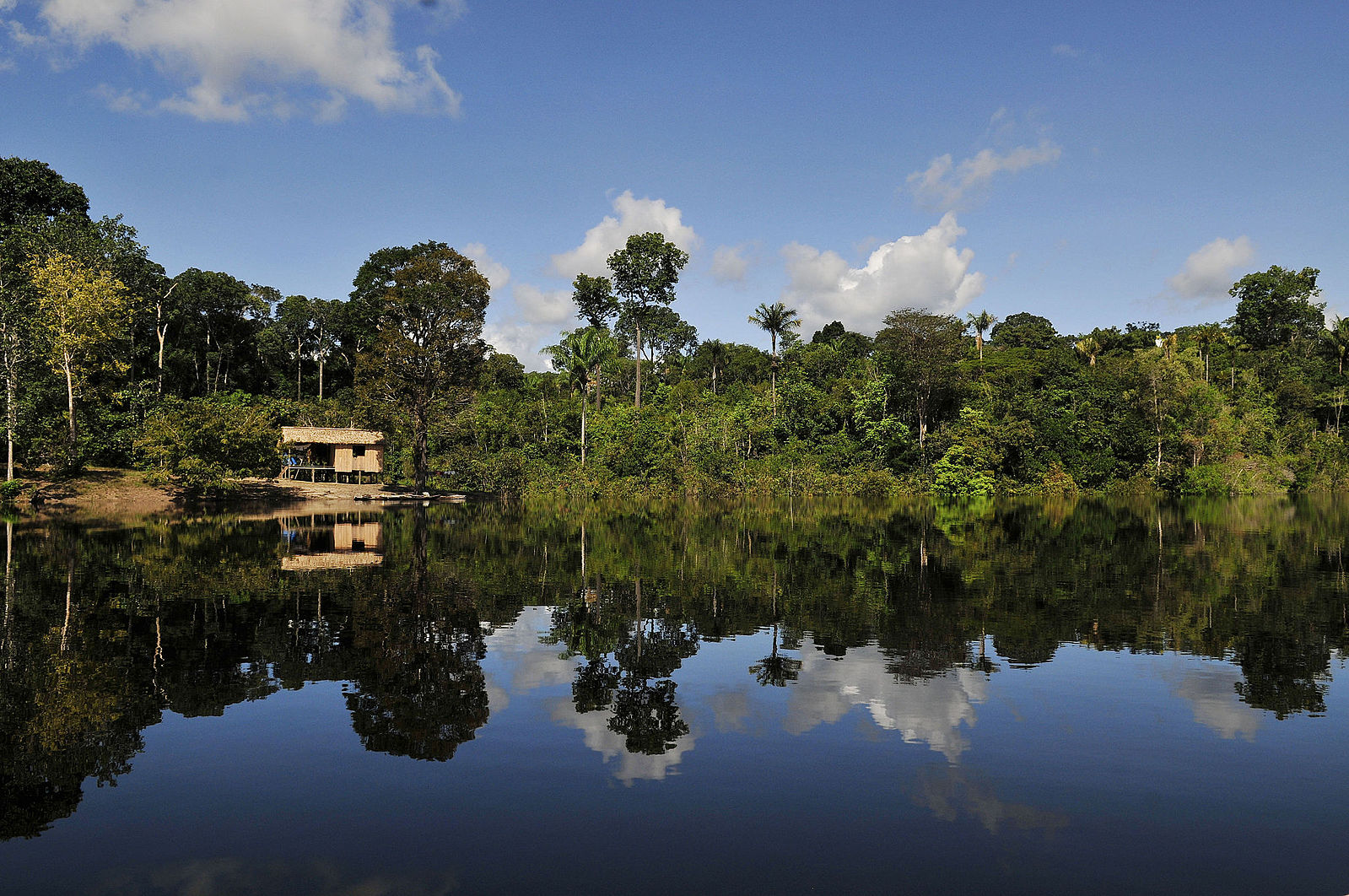 A view of one of the the many rivers in the Amazon.