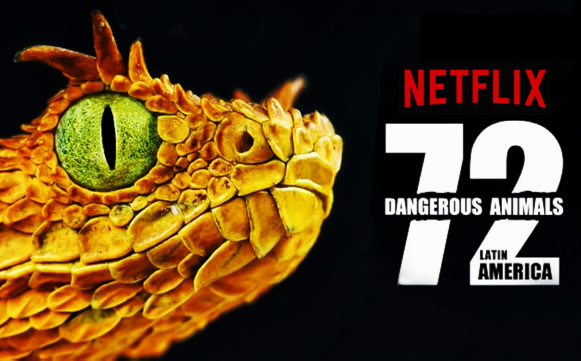 Official title card for Netflix's 72 Dangerous Animals: Latin America, featuring a close-up of a reptile's eye