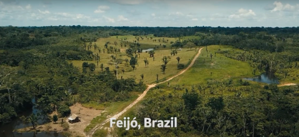 “JOURNEY INTO BRAZIL” IS NOMINATED FOR VIDEO OF THE YEAR AT THE TONGIES AWARDS